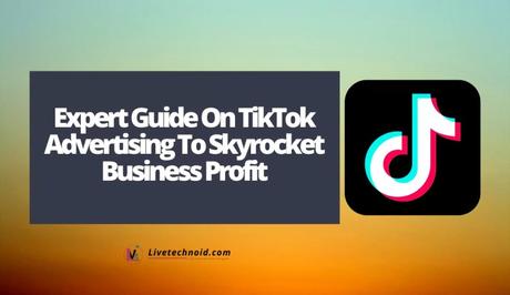 Expert Guide On TikTok Advertising To Skyrocket Business Profit