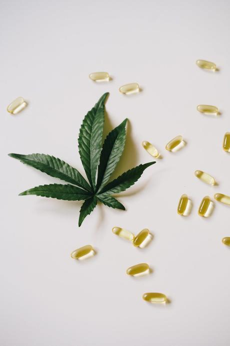 How Can CBD Refine Your Mental Health?
