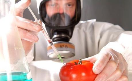 The worldwide food stabilizer market has seen a lot of investment, The food stabilizer market is expected to increase steadily between 2021 and 2031