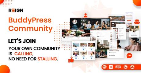 WordPress Viral Theme