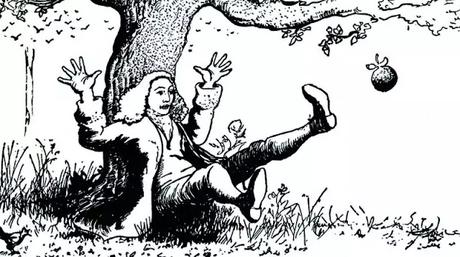 Discovery of  Gravity