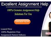 Offers Customer Relationship Management Assignment Help Online Expert