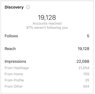 Ingramer Review 2021: Grow Instagram Followers Organically (Why 9 Stars)