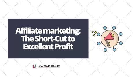 Affiliate marketing: The Short-Cut to Excellent Profit