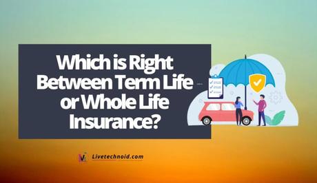 Which is Right Between Term Life or Whole Life Insurance