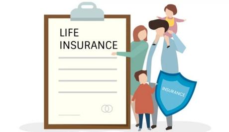 Which is Right Between Term Life or Whole Life Insurance