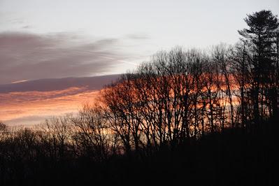 Bare Trees, Red Sky