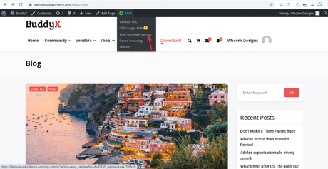 How to Setup Google AMP with WordPress BuddyX Theme