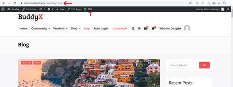 How to Setup Google AMP with WordPress BuddyX Theme