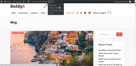 How to Setup Google AMP with WordPress BuddyX Theme