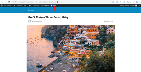 How to Setup Google AMP with WordPress BuddyX Theme
