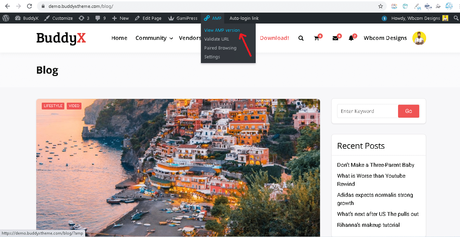 How to Setup Google AMP with WordPress BuddyX Theme