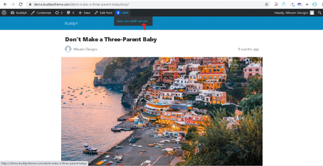 How to Setup Google AMP with WordPress BuddyX Theme