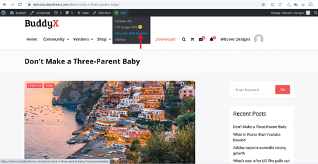 How to Setup Google AMP with WordPress BuddyX Theme