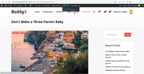 How to Setup Google AMP with WordPress BuddyX Theme