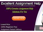 Expert Writers Providing Professional Data Structure Assignment Help Many Students Across Globe