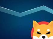 SHYTOSHI's Shocking Shiba Coin Price Prediction MASSIVE BURN CONFIRMED