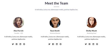 Ultimate Addons for Gutenberg Review: Best Gutenberg Extension Ultimate Addons for Gutenberg: Info Box