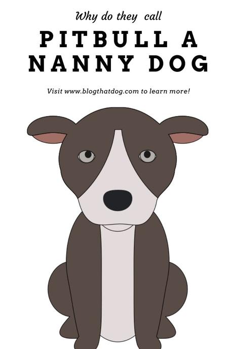 Why Are Pitbulls Called Nanny Dogs?