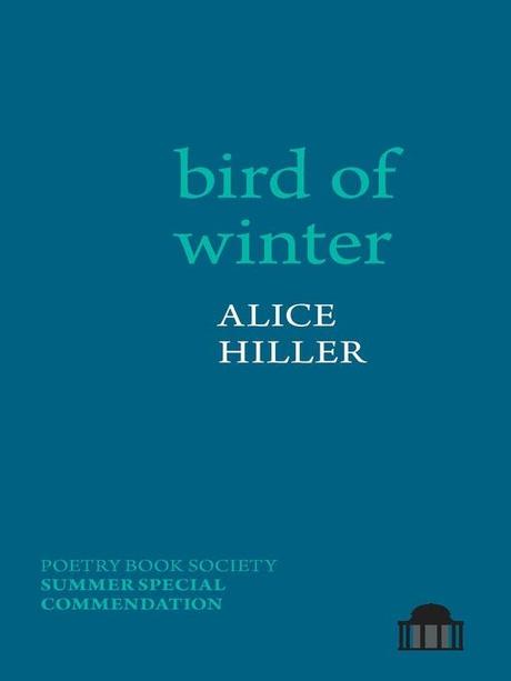 Bird of Winter by @alice_hiller