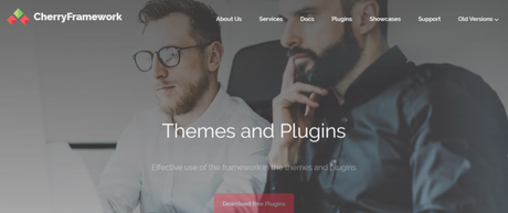 WordPress frameworks