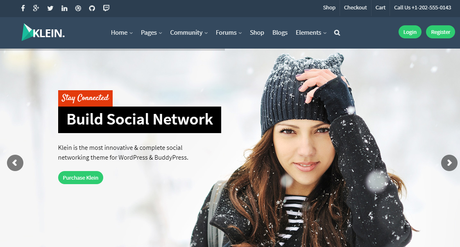 Social Media WordPress themes