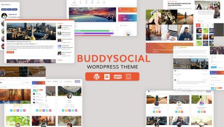 WordPress BuddyPress Theme