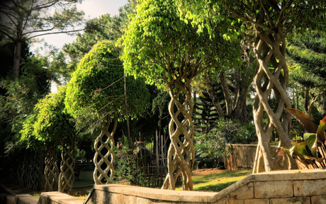 This characteristic is thought to be fueling the worldwide hashgraph market's growth potential.