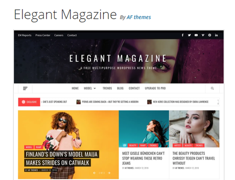 WordPress Newspaper Themes