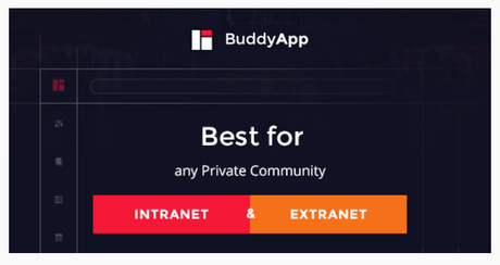 BuddyPress WordPress Themes