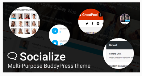 BuddyPress WordPress Themes