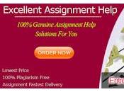 Ensure High-Quality Entrepreneurship Assignment Help Service Within Your Budget Prior Deadline