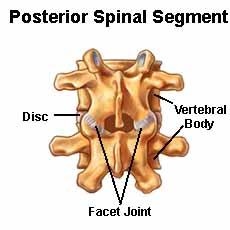 Lower Back Pain When Sitting: Symptoms, Causes and Treatment Options