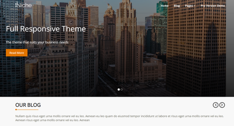 niche wordpress theme