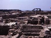 Mining History