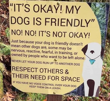 Invalid Justification From Dog Owners in Dealing Pets at the Dog Park.