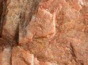 Feldspar Market Size, Share, Analysis Forecast 2021-2028