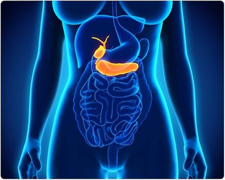 The formation of malignant (cancer) cells in the bile ducts is an uncommon condition known as bile duct cancer.