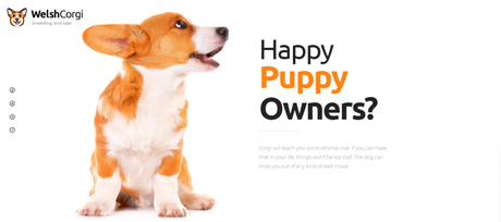 WordPress theme for pets