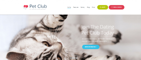 Pet WordPress Themes