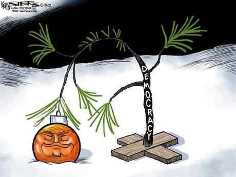 Democracy's Tree