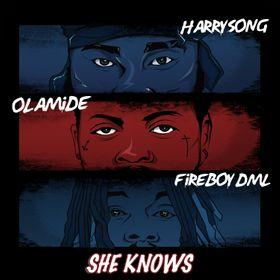 Harrysong Feat. Fireboy DML & Olamide – She Knows