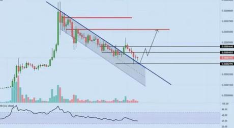 chart how the price of SHIBA is performing chart how the price of SHIBA is performing
