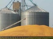 Grain Storage Silo Market Growth, Trends, COVID-19 Impact, Forecasts 2021 2026