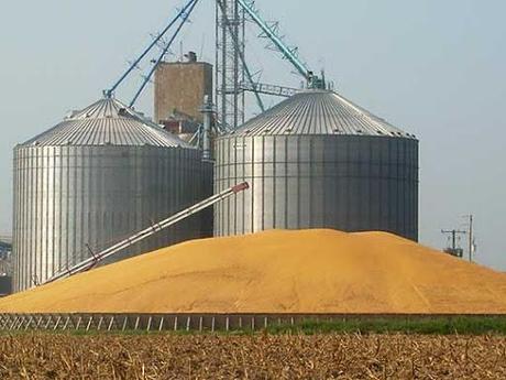 The Grain Storage Silo Market is a vital part of the grain storage facility business, as it helps to ensure that agricultural output is available when it is needed. Grain Storage Silo Market is expected to grow at a CAGR of 4.5 percent (2021-2026)