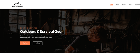 Fishing WordPress Theme