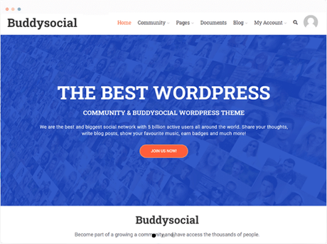 buddysocial1