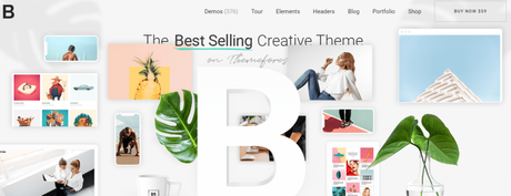 Portfolio WordPress Themes