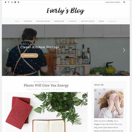 wordpress blog themes