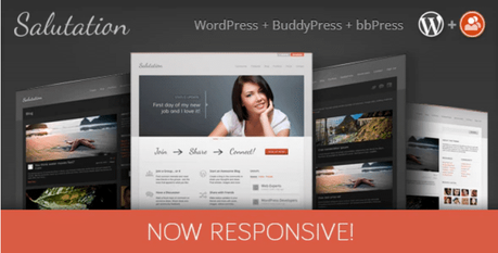 BuddyPress Theme